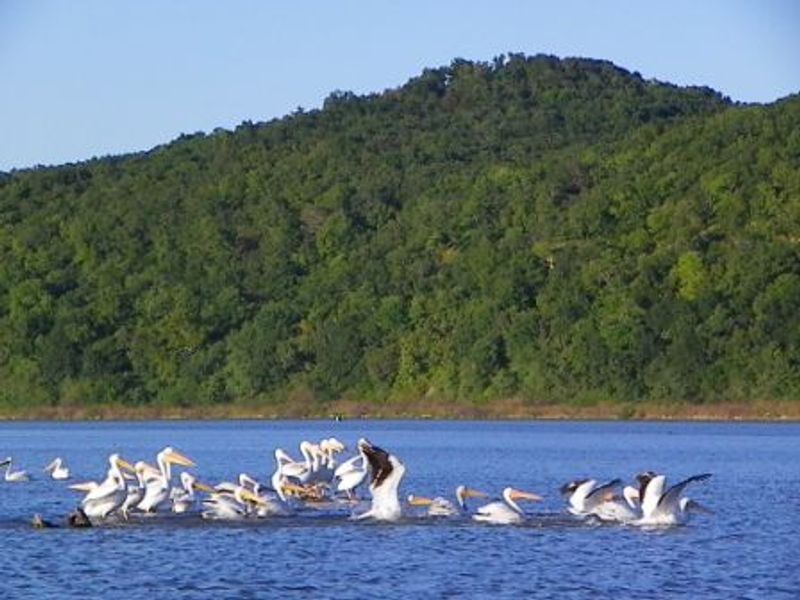 bers Falls Reservoir Oklahoma's Official Travel